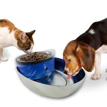 강아지 고양이 파이오니아 레트로 정수기 급여기, 서군홈박사 1