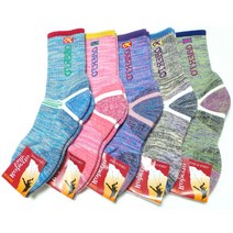 더 데일리 남성용 쿠션 등산양말 10족