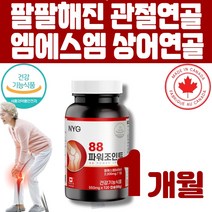NYG뉴일리 88파워조인트 관절연골 msm관절영양제 상어연골분말 멜라트리약통, 1개(1개월)