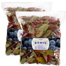 영글어농장 1+1 국내산 블루베리잎차(100G+100G), 1개, 100g+100g