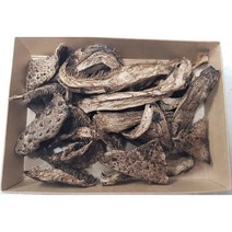 2022 강원도 강릉 자연산 건조 능이버섯 (건능이 말린능이), 고급선물포장, 60g (20g 3팩), 1개