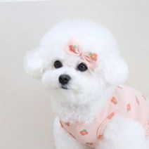 꼴레트멍멍 퐁퐁 리본 강아지머리핀 루앤담, 선택:아이보리