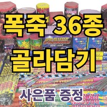 불꽃놀이 폭죽 내맘대로골라골라 다양한 구성, 1개, 25.소형 분수