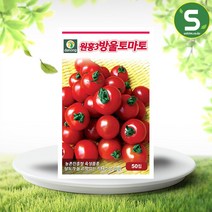 솔림텃밭몰 원홍3호방울토마토씨앗 50립 토마토씨앗 방울토마토, 단품