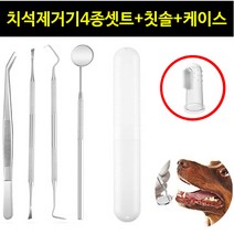 JMC 애견 치석제거기 스케일러 세트+실리콘 칫솔+케이스, 1셋트