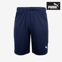 푸마 팀골 23 캐쥬얼 쇼츠 헬스장 브랜드 반바지