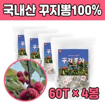 꾸지뽕 잎 입 구지뽕 우려 먹는 구찌뽕 마시는 3봉 뽕잎차 가지 환절기 에좋은 음식 우려서 가볍게 침출차 CUDRANIA TEA 따뜻한 워터 티 식수 물 대용 대신 직장인 추천