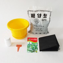 케일키우기 7종