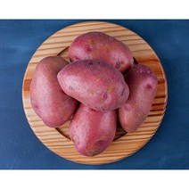 [국내산 산지직송 농장] 해남 꿀밤고구마 (세척/비세척), (세척) 10kg 한입_A13, 1개