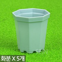 플라스틱 미니 화분 5P - 어린이집 유치원 플분 다육 선인장 식물 모종 삽목 인테리어 홈 가드닝 어린이 식목일 행사