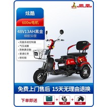다인승 오토바이 삼륜 전동차 세발 전기 스쿠터 미니 카트 미니 노인 장애인, 600W 모터48V13Ah 블랙 골드 배터리