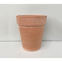 팡팡플랜트 이태리토분 시리즈, 알토 (살구색)