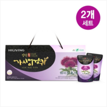 하이리빙 임실 가시엉겅퀴 하이진액 내 몸을 위한 건강한, 100ml, 2개