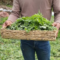 거문도쑥 해풍쑥 노지쑥 1kg