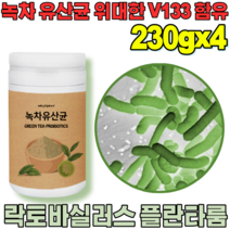 꼼꼼한 검수 통과한 자연이 주는 선물 락토 바실러스 플란 타룸 녹차 유산균 프락토 올리고당 위대한 V 133 녹자 우산균 위산균 유신균 프로바이오틱 가루 파우더 분말 파는곳 추천, 4