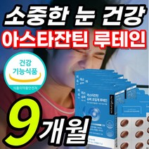 식약처 인증 올인원 아스타잔틴 초임계 루테인 루태인 뉴테인 누태인 류태인 루테린 황반색소 밀도 침침한 답답한 건조한 눈 노화 피로 건강 관리 보호 도움 영양제 + 알 약 케이스, 1개, 9개월