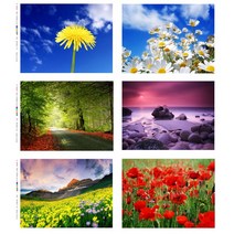 천아트 DTP 컷트지 폴리 옥스포드 자연과 플라워 6종(d3007), 풍경