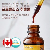 프로폴리스 스포이드 원액 폴리폴리스 액 수용성 플로폴리스 추출물 플라보노이드 캐나다 무알콜 액상 리퀴드 항산화 구강 항균작용 영양제, 프로폴리스액 1개