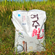 2022 여주햅쌀 햅쌀 여주진상미 당일도정 명품쌀, 20kg