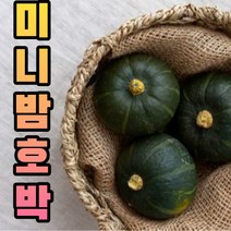 국내산 미니 밤호박 1kg 2kg 단호박 보짱 보우짱 호박 고당도 달콤 산지직송 미니밤호박 미니단호박, 미니밤호박1kg(2~5개 이상)