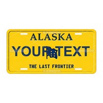 자전거번호판 맞춤형 미국 주 텍사스 번호판 아빠 선물 자동차 오토바이 자전거 CA-024 태그, 08 CA0084_01 15X30cm