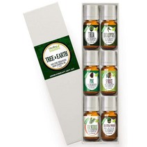 Top 6 Tree & Earth 에센셜 오일 100% 순수 최고의 치료 등급 아로마테라피 에센셜 오일 선물 세트 - 6/10mL Healing Solutions