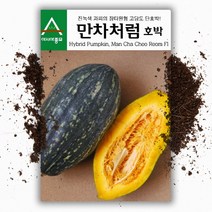 만차처럼 단호박씨앗 (10립) 장타원형 고당도 호박, 1개