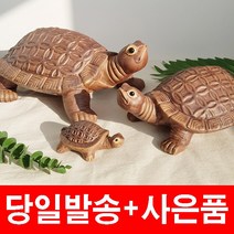 벽걸이인형 추천 TOP 70