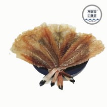 건어물도매몰 꼬리 아귀포 중자/대자 1kg, 꼬리 아귀포 대자 1kg 내외