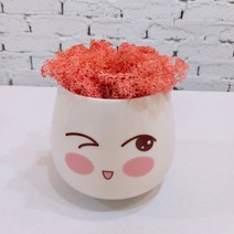 스칸디아모스 천연이끼 공기정화 이모티콘 화분, 큰 이모티콘 모스-핑크