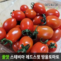 이츠올릿 산지직송 꿀맛 스테비아 방울 레드 스윗 토마토 500g 단 대추 토망고
