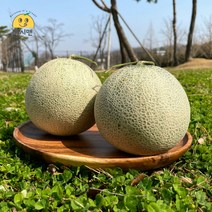 [쥬시맨] 산뜻! 피크닉 필수 꿀당도 나주 세론이 세지멜론 1.25kg 1.66kg 단위, 세지멜론 상 (1과 1.25kg) 파란 박스, 1개