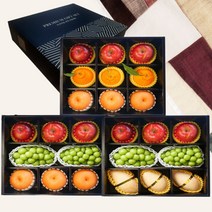 프리미엄 고급 과일 선물 세트 제수용 제사 사과 배 한라봉 샤인머스켓 망고 혼합 세트, 4. 혼합 과일 선물세트 2호