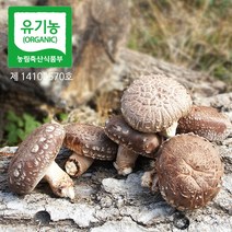 유기농 참나무원목 표고 생 표고버섯 1kg (가정용/일반), 1개