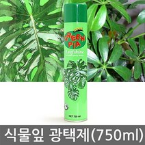 식물잎 광택제750ml (식물잎 윤기 수분 과다 증발억제