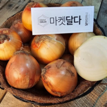 국내산 양파 햇 양파 산지출하중, 2.5kg특/대/혼합(1개), 1개