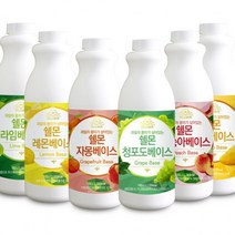 홈카페 과일 에이드 스무디 주스 원액 1kg, 쉘몬과일농축액베이스히비스커스레몬1kg
