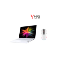 LG그램 17인치 노트북렌탈 단기 대여 렌트 노트북, 10일 렌탈, 17Z90N, 코어i5, 256GB, 16GB, WIN10 Home