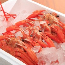 울진 후포항 붉은대게3kg(11미내외), 단품