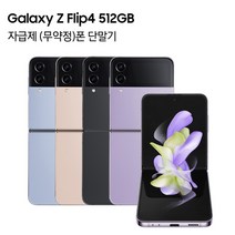 삼성전자 갤럭시 Z 플립4 5G 자급제 SM-F721N, 512GB, 핑크 골드