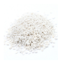 [우야플랜트샵] 원예용 펄라이트 퍼라이트 인공토 분갈이재료 200g, 3개