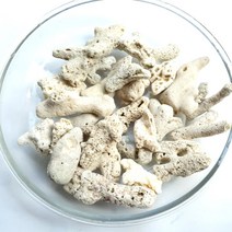 뼈산호 뼈다귀산호사 여과제 해수어바닥제 1kg, 1개