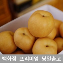 [특등급선별] 배 3kg 감기에좋은음식 기침멈추는법 가래없애는방법 과일 배즙 배차 배즙효능 배가격 과일배 먹골배 배주스 사과배 배음료 서생배 과일 신선한 프리미엄 백화점 업소용