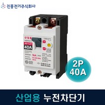 진흥전기 누전차단기 산업용 2P40A JEB-52P 5kA, 1개