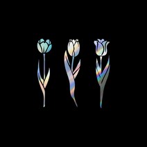 자동차포인트 00946 튤립세송이 튜닝스티커, XL, 홀로그램