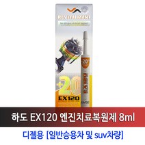 하도 디젤엔진오일 치료첨가제, 1개