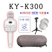 금영뮤즐2 KY-K300 블루투스노래방마이크