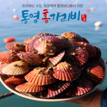 통영 신선한 제철 홍 가리비 가을캠핑 집들이 음식 조개찜 조개구이 파스타 1키로 30-40미, 3kg(75-90미)