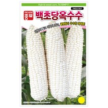 백초당옥수수 옥수수씨앗 100립 아시아종묘 23년