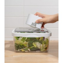 [에어프리] [단품] 오리지니크 신선 진공 밀폐용기 2 300ml, 상세 설명 참조